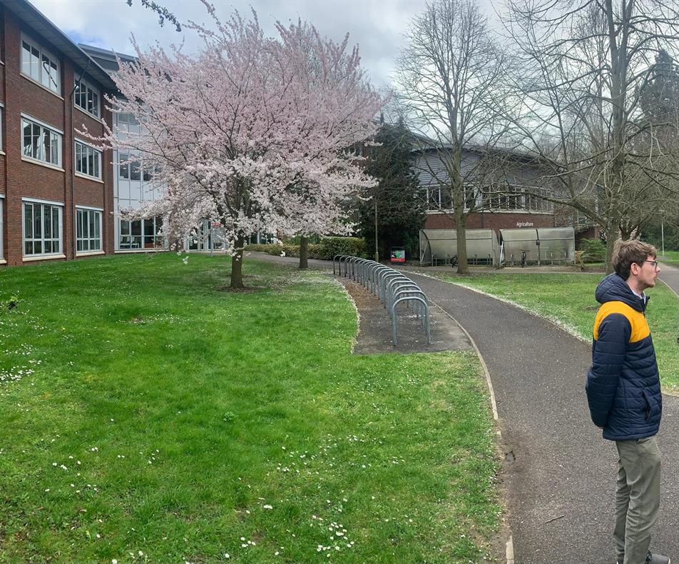 Dr Chris Wyver in front of a cherry tree outside the University of Reading's Agriculture building